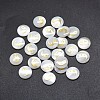 Shell Cabochons SSHEL-E568-A11-2