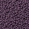 MIYUKI Round Rocailles Beads SEED-JP0009-RR4489-3