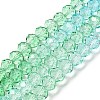 Transparent Painted Glass Beads Strands DGLA-A034-T6mm-A16-2