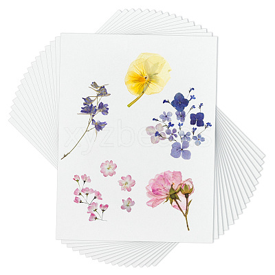 Dried Embossed Paper DIY-WH0622-646A-1