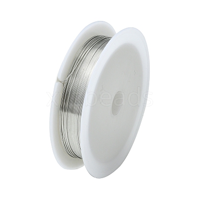 Round Iron Wire MW-R001-0.5mm-07-1