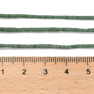 Dyed Synthetic Turquoise Beads Strands G-P594-01A-02-1