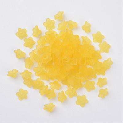 Transparent Acrylic Beads PL554-08-1