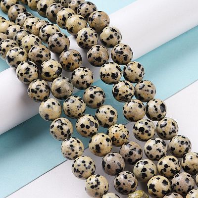 Natural Dalmatian Jasper Beads Strands G-Q462-10mm-30-1
