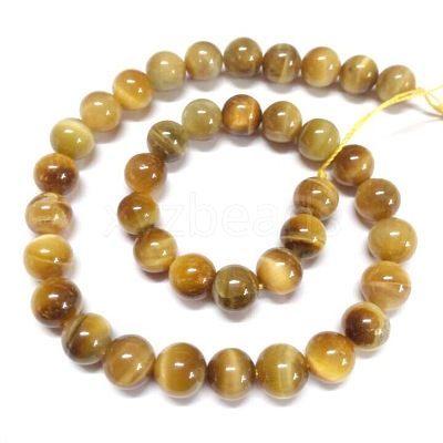 Natural Tiger Eye Beads Strands G-G544-8mm-01-1