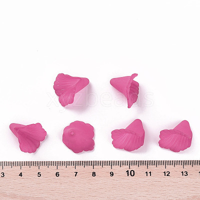 Transparent Acrylic Bead Caps PL551-C16-1