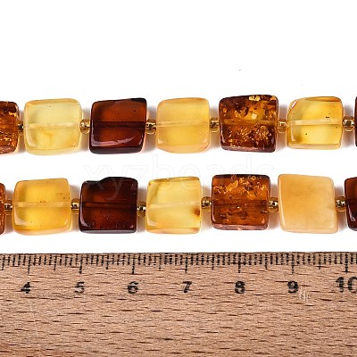 Natural Amber Beads Strands G-N371-15B-01-1