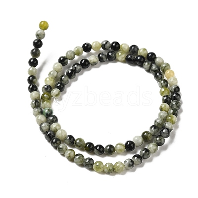 Natural Xiuyu Jade Beads Strands G-H298-A08-01-1