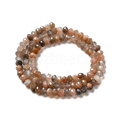 Natural Multi-Moonstone Beads Strands G-I341-06-1