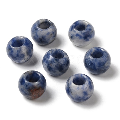 Natural Blue Spot Jasper European Beads G-N342-03D-1