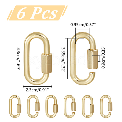 6Pcs Alloy Screw Carabiner Lock Charms FIND-UN0003-31LG-1