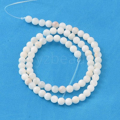 Natural Shell Beads Strands PRS001Y-1