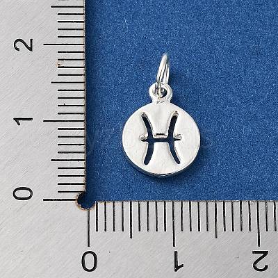 925 Sterling Silver Constellations Charms LS-STER-M118-01D-1