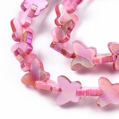 Natural Freshwater Shell Beads Strands SHEL-N026-206B-1