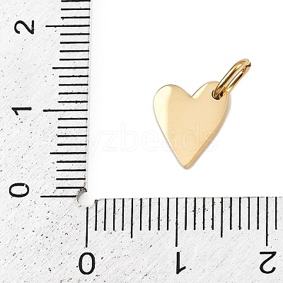 304 Stainless Steel Charms STAS-L291-01G-T-1