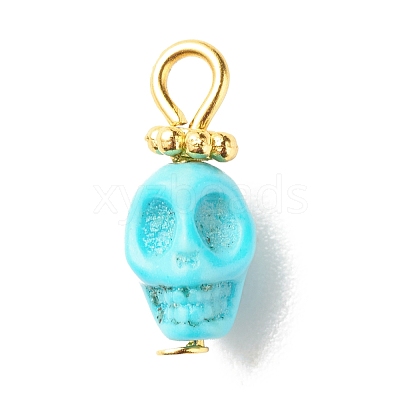 Dyed Synthetic Turquoise Charms PALLOY-JF01452-02-1