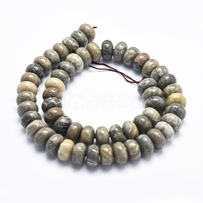 Natural Fossil Coral Beads Strands G-K256-10D-1