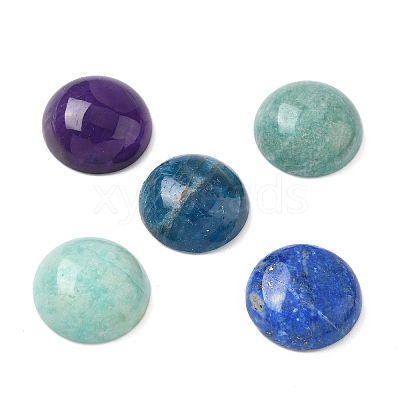 Natural Amethyst & Amazonite & African Turquoise(Jasper) & Lapis Lazuli & Apatite Cabochons G-A265-01-1