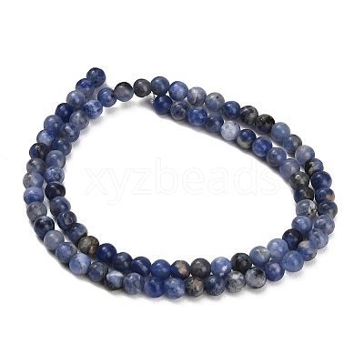 Natural South Africa Sodalite Beads Strands LS-G-S259-35-4mm-1