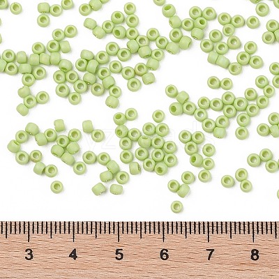 TOHO 8/0 Round Beads X-SEED-TR08-0404F-1