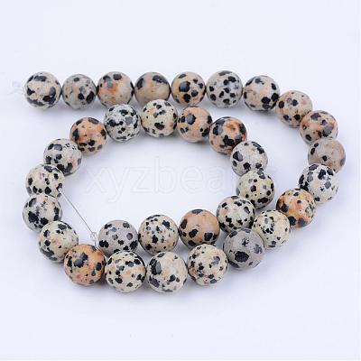 Natural Dalmatian Jasper Beads Strands G-Q462-8mm-30-1