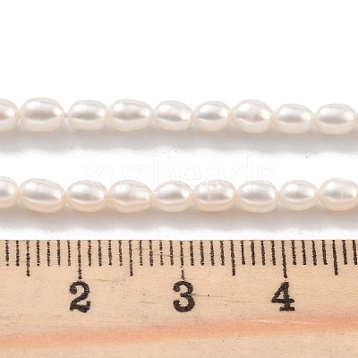 Natural Cultured Freshwater Pearl Beads Strands PEAR-P062-03B-1