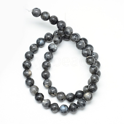 Natural Larvikite Beads Strands X-G-R345-6mm-33-1