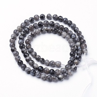 Natural Larvikite Beads Strands GSR3mmC128-1