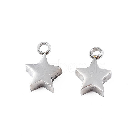 Non-Tarnish 304 Stainless Steel Charms STAS-N095-138-1