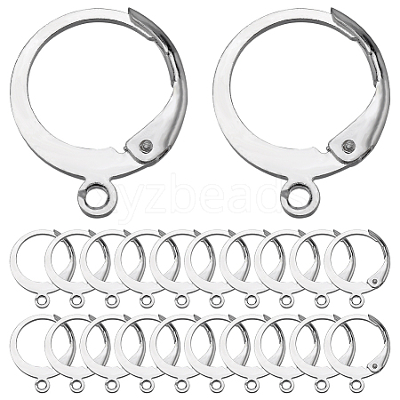 SUNNYCLUE 80Pcs 304 Stainless Steel Leverback Earring Findings STAS-SC0006-42-1