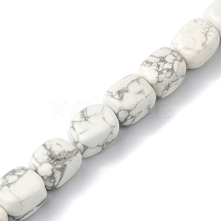 Natural Howlite Beads Strands G-F743-02S-1