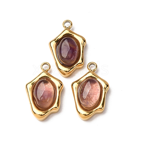 Natural Amethyst Irregular Oval Charms STAS-L022-525G-03-1