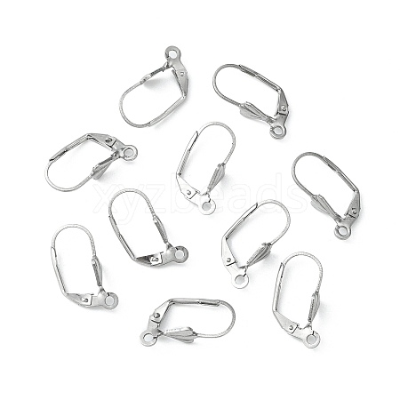 Tarnish Resistant 304 Stainless Steel Leverback Earring Findings X-STAS-E007-2-1