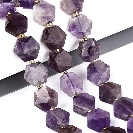 Natural Amethyst Beads Strands G-N368-01A-10-1