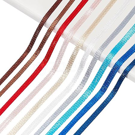  50M 10 Colors Polyester Ribbon Sets OCOR-NB0001-75A-1