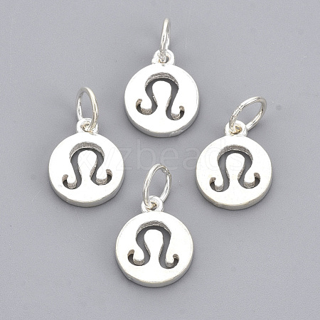 925 Sterling Silver Charms STER-T002-44S-09-1