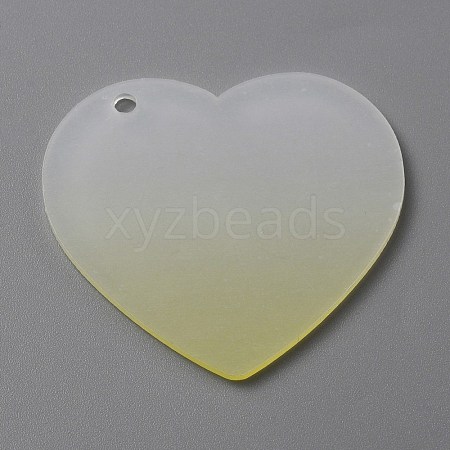 Gradient Transparent Acrylic Disc Big Pendants LS-FIND-WH0032-54F-1