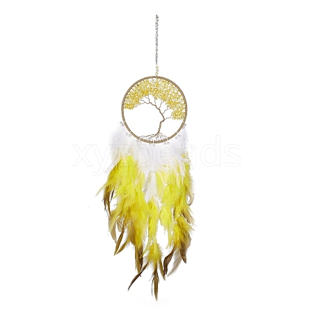 Iron Woven Web/Net with Feather Pendant Decorations AJEW-B017-12-1