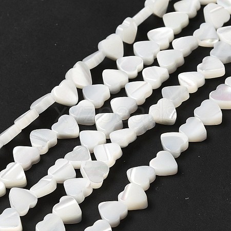 Natural Trochid Shell/Trochus Shell Beads Strands BSHE-E026-19-1