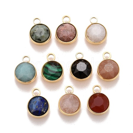Faceted Natural Gemstone Charms STAS-D177-01G-1