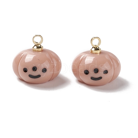 Halloween Opaque Resin Charms RESI-E018-01D-1