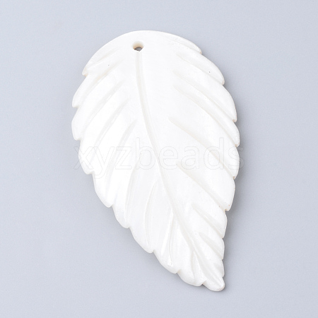 Freshwater Shell Big Pendants X-SHEL-S249-02-1