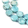 Dyed Natural Howlite Beads Strands G-C116-A63-01-4