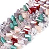 Mixed Styles Electroplate Glass Beads Strands EGLA-Q135-03A-C02-1