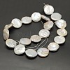 Flat Round Nucleated Natural Cultured Freshwater Pearl Beads Strands PEAR-F001-03-3
