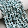 Natural Larimar Beads Strands G-D109-B03-1