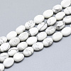 Natural Howlite Beads Strands X-G-S357-B13-1