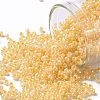 TOHO Round Seed Beads SEED-XTR11-0903-1