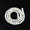 Natural White Shell Bead Strands SSHEL-N003-144D-01-2