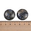 Natural Glaucophane Cabochons G-H1596-FR-25mm-19-3